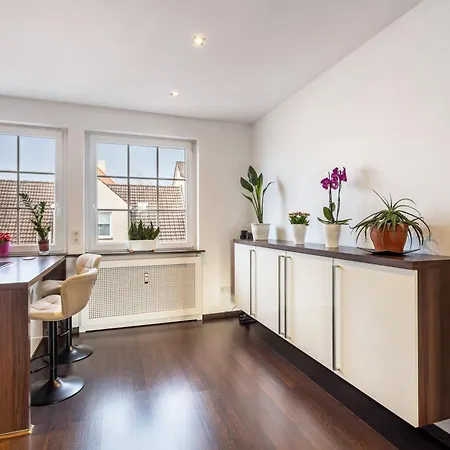 Exklusives Loft Mit Kamin Appartement *